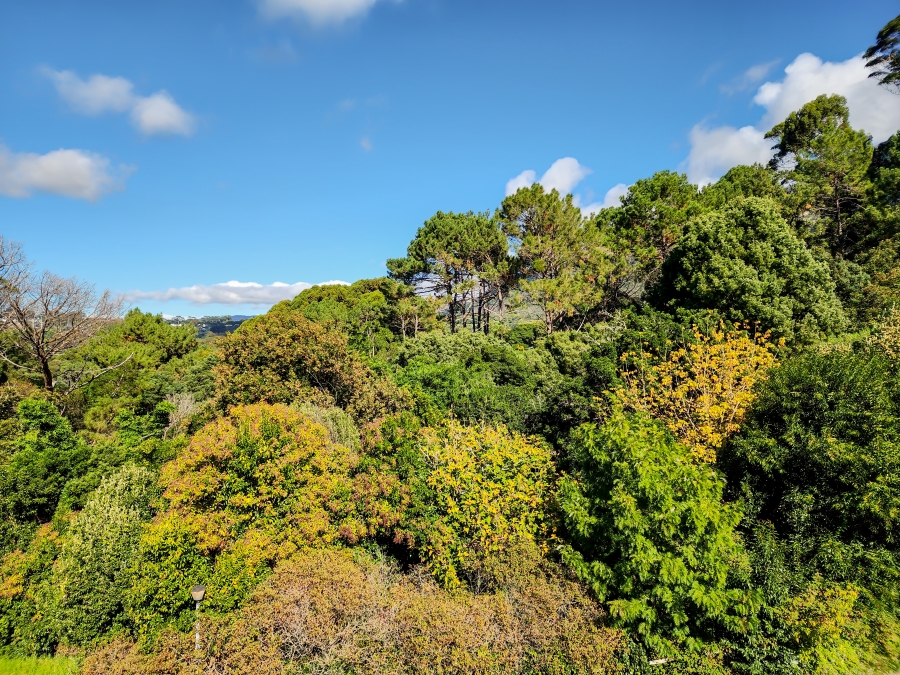 4 Bedroom Property for Sale in Newlands Western Cape
